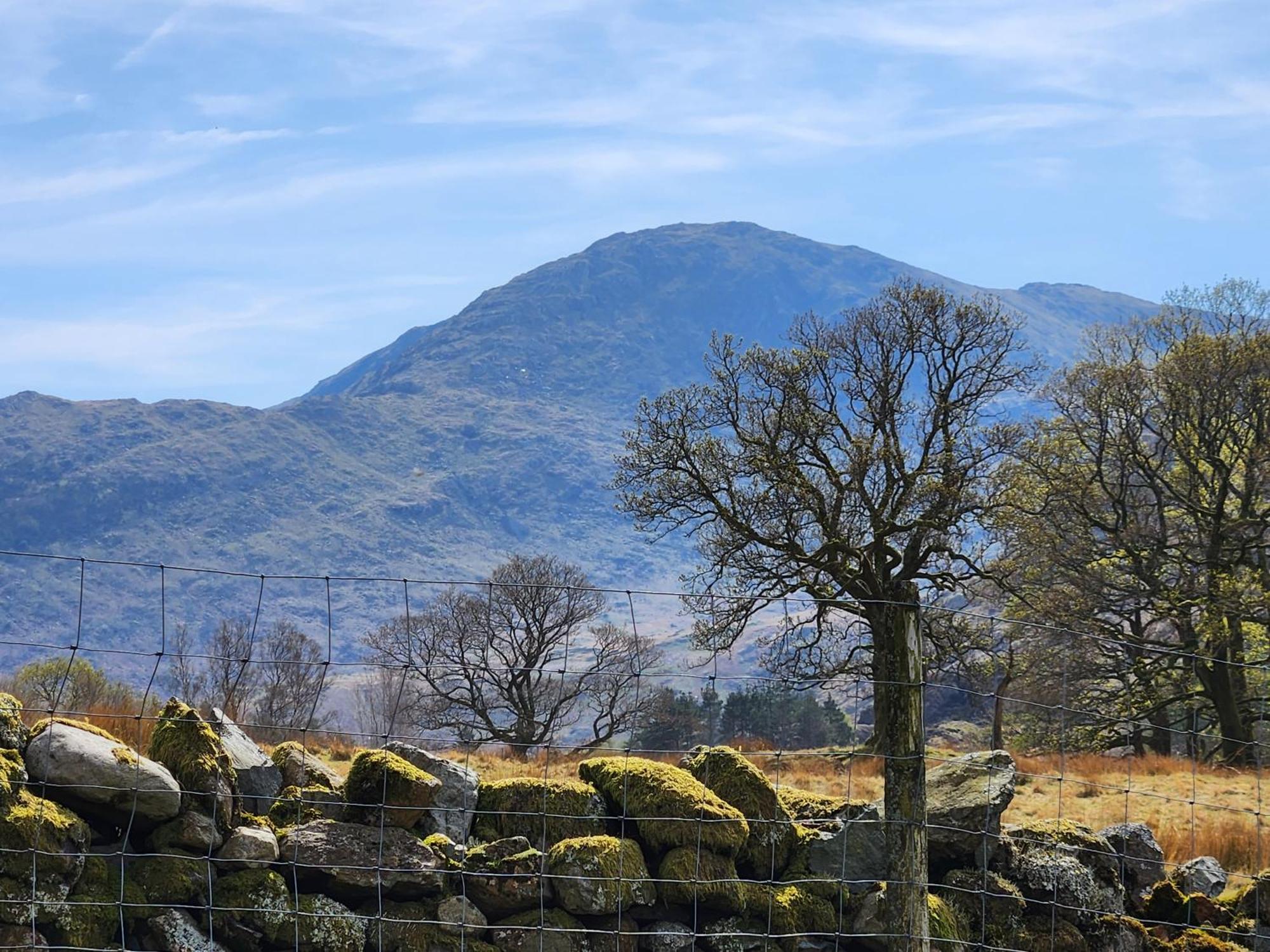 Blea Tarn Farmhouse B&B Ambleside Exterior foto